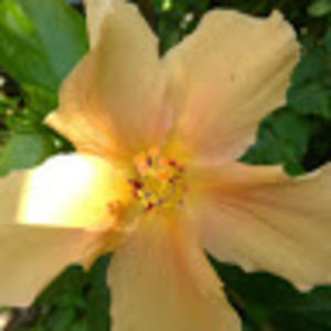 Meet your Posher, Jaime